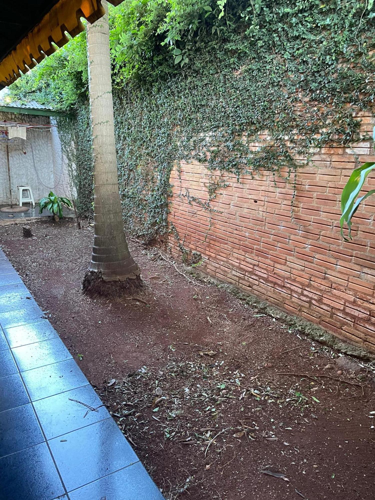 ¡Tucanes Iguazu! Puerto Iguazú Kültér fotó